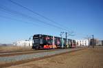 Straßenbahn Mainz / Mainzelbahn: Stadler Rail Variobahn der MVG Mainz - Wagen 231, aufgenommen im Januar 2017 in Mainz-Bretzenheim.