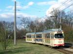 Wagen 156 als Linie 12 nach Rheingnheim an der Station Giullini, 18.03.08.