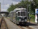 Der RNV Tw 81 in Viernheim am 15.05.11