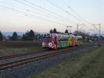 RNV Düwag GT8 4115 am 22.02.15 bei Edingen bei einen Fotohalt einer IGN Sonderfahrt