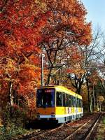 Tw 294 im Uhlenhorst (8.