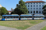 Schon lange keine Strassenbahn mehr in München fotografiert. Hier gibts sogar einige interessante Werbebemalungen. Wagen 2145 preist das Bier Schneider Helles an, und fährt hier am 30.6.26 am Karolinenplatz Richtung Schwabing.