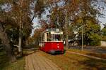 Wagen 51 der Naumburger Straßenbahn am Marienring (06.10.2023) 