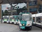 Tatra Nr. 154 und 254 der ViP in Potsdam am 10.06.2016