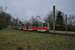 Am 21.12.2025 führte der Historische Straßenbahnverein Potsdam Glühweinfahrten durch. Der KT4D-Prototyp 001 war an der Russischen Kolonie in Richtung Jungfernsee unterwegs.