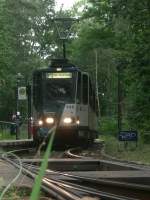 Natur pur am Bahnhof Rehbrcke. Die Bahn ist als Linie 93 an der Endhaltestelle angekommen und wartet nun darauf, als Linie 91 zum Bahnhof Pirschheide zu fahren. 2009-07-17.