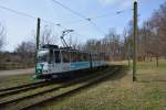 Tatra (150/250) auf der Linie 92 bei Am Schragen. Aufgenommen 17.02.2014.