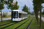 Vario Bahn 431 auf der Linie 96 am Volkspark in Potsdam.