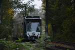 Nicht aus dem Urwald sondern vom Schlaatz kommt diese Siemens Combino 410  Amsterdam .