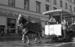 Stuttgart Pferdebahn__Wagen Nr. 21 auf der Königstraße Richtung Wilhelmsbau unterwegs. Die Spiekerooger Museums-Pferdebahn (entscheidend initiiert durch Hans Roll, als erste Museums-Pferdebahn in Deutschland), bei der Wagen Nr. 21 seit 1981 beheimatet ist, ist quasi die Fortsetzungsgeschichte der Stuttgarter Pferdebahn des 20. Jahrhunderts, am andern Ende der Republik.  Aber das ist eine Geschichte für sich. Dazwischen führte das SMS im Mai 1981 noch sehr erfolgreich einen Pferdebahnbetrieb in Augsburg zum 100. Geburtstag der Augsburger Trambahn durch. Der Fahrgastandrang war so groß, daß nicht immer alle mitfahren konnten. Ein “Nachbau des Nachbaus“ (Wagen Nr.20 von 1992) ist im Straßenbahn-Museum Stuttgart zu besichtigen.__30-09-1978
