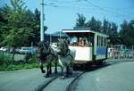 Stuttgart Pferdebahn__Wagen Nr.7 auf dem Rundkurs um die Hw herum.__29-07-1978