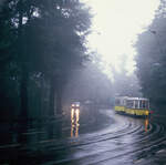 Sonderfahrt auf der berühmten Stuttgarter Neuen Weinsteige (TW 851 und BW 1390).