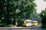 Früher passierte die Stuttgarter Straßenbahn Bad Cannstatt mit seinen hohen Bäumen.
