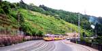 SSB Stuttgart__Verschwundene Strecken__GT4-Zug der Linie 6 fährt talwärts vor den Weinbergen der Neuen Weinsteige unterhalb Haltestelle 'Altenbergstaffel'.__15-08-1987