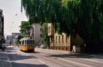 Mich beeindruckte vor allem der riesige Baum im Zentrum einer Stadt, über einer Hauptstraße und auch über der Ulmer Straßenbahn. TW 13 der Baureihe GT4 ist dort am 29.09.1984 unterwegs.