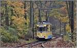 Strassenbahnlinie 87 Rahnsdorf - Woltersdorf Schleuse. Gothawagen T57 Nr. 33 trifft in Rahnsdorf ein. (17.11.2019)