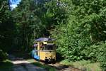 Tw 30 der Woltersdorfer Straßenbahn durchquert ein Waldstück bei Woltersdorf.