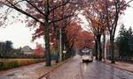 Woltersdorfer Straßenbahn__Tw 27 [T59M; VEB Gotha 1960; 1987 ex Schwerin] mit Bw in der Berliner Straße nach Woltersdorf Schleuse.__29-10-1992