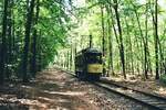 Woltersdorfer Straßenbahn__Hier ist es wieder eingleisig, aber immer noch viel Wald ...__23-05-2009