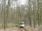 Ankunft der Woltersdorfer Straßenbahn, Wagen 31, in Rahnsdorf. Dieser Zug hat seinen Ursprung in Dresden, von wo er im Jahre 1986 übernommen wurde. Bis 2006 wurde oft auch ein Beiwagen eingesetzt, was in Rahnsdorf zu Rangierfahrten für den Richtungswechsel führte. Derzeit geschieht dies nur noch bei zu erwartendem hohen Fahrgastandrang. 3.4.2016, Berlin Rahnsdorf