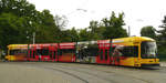 31.05.2010, Straßenbahn Dresden.