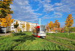 Inmitten der jungen herbstlichen Bäume an der Wolfsburger Straße in Halle (Saale) bestreiten MGT-K-Wagen 676 und 675 (Bombardier Flexity Classic) die ersten Meter ihres Umlaufs.