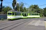IGN Rhein Neckar Sonderfahrt mit dem Düwag GT8 516 in MVV Farben am 24.08.25 in Mannheim