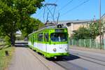 IGN Rhein Neckar Sonderfahrt mit dem Düwag GT8 516 in MVV Farben am 24.08.25 in Mannheim