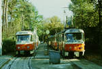 12.10.1986, Dresden: An der Endhaltestelle der Straßenbahn in Kleinzschachwitz stehen zwei abfahrbereite Bahnen der Linien 9 und 14.