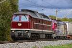 D-GERA 232 673-4 zog am 17.10.2026 D-RPOOL 6193 181-5 (Marie-Therese) und den dazugeh�rigen KLV-G�terzug vom L�becker-Skandinavienkai (ALSK) kommend nach L�neburg (ALBG).
