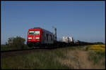 DB 245024 ist hier bei Lehnshallig am 29.5.2020 um 11.33 Uhr mit einem schwach belegten Autozug in Richtung Niebüll unterwegs.