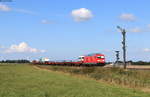 245 027 und 628 507-5  List  am Zugschluss mit dem AS 1429 (Westerland(Sylt)-Niebüll) bei Lehnshallig 2.9.20