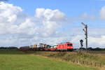 245 023 sowie 628 501-8 am Zugschluss mit dem AS 1435 (Westerland(Sylt)-Niebüll/Bredstedt) bei Lehnshallig 5.9.20