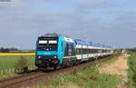 245 204-3 mit dem RE 11022 (Hamburg Altona-Westerland(Sylt)) bei Lehnshallig 29.5.21