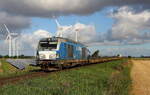 RDC Autozug von Westerland nach Nieb�ll mit 247 908 bei S�dergotteskoog am 06.08.2026 Aufgenommen. 
