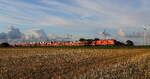 245 026 mit DB Syltshuttle Nieb�ll nach Westerland. Am fr�hen Morgen bei S�dergotteskoog aufgenommen (06.08.2026) 