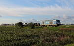RDC Autozug Nieb�ll - Westerland mit 247 909 am 06.08.2026 bei S�dergotteskoog aufgenommen.