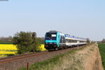 245 207-6 mit der NOB81798 (Niebüll-Westerland(Sylt)) bei Lehnshallig 8.5.16