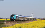 245 213-4 mit der NOB81718 (Hamburg Altona-Westerland(Sylt)) bei Lehnshallig 8.5.16