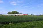 RP 218 402-6 zieht IC 2416 von Hamburg nach Fehmarn-Burg und dieselt hier gerade auf der Vogelfluglinie zwischen Oldenburg(Holst) und Göhl.