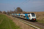 ODEG 4746 305 als RE9 Sassnitz - Lietzow am 16.04.2023 zwischen Borchtitz und Lietzow.