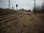 Bahnhof Sagard mit den ehmaligen Zufahrtsgleisen zur Ladestra�e die bereits unter Gestr�pp verschwinden.