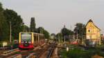 Ein Zug der BR 483/484, gezogen von 483 004, fährt als S47 von Spindlersfeld nach Schöneweide ein, während ihr die Sonne beim untergehen noch entgegenstrahlt.