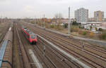 DB Regio 442 142 // Eisenhüttenstadt // 8. November 2018
