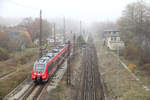 DB Regio 442 209 // Ziltendorf // 9.