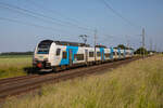 ODEG 4746 301 als RE10 Züssow - Stralsund, am 08.06.2023 in Groß Kiesow.