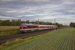 132 618 mit den Wagen der Regio Sonderfahrt + 143 238 am 23.09.2023 bei Wüstenfelde.
