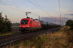 Vor Sonnenaufgang fand sich 1116 163 am Morgen des 09.10.2022 in den Weiten von Wüstenfelde wieder.
