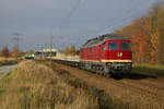 Am 14.11.2022 zog die 132 068 der Salzland Rail Service einen Schwellenzug vom Betonschwellenwerk Möllenhagen, über Güstrow, Stralsund, Eberswalde, Berlin nach Senftenberg. Aufgenommen in Teschenhagen bei Stralsund.
