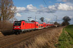 Da es sich die Wolke doch noch anders überlegt hatte und die Sonne durch ließ, knipste ich dann auch mal eine 147, welche ja auch nicht ewig auf dem RE3 bleiben sollen. Am 24.03.2023 gab sich 147 015 mit dem RE3 3310 nach Stralsund die Ehre in Engelswacht.
